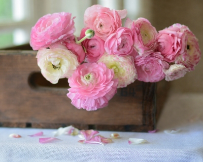 CB-2237-ranuncs_crate2