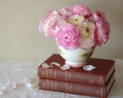 CB-2240-redbooks_ranuncs