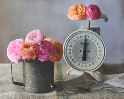 CB-2242-scale_flowers_sieve