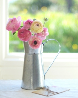 CB-2243-silver_pitcher_ranuncs