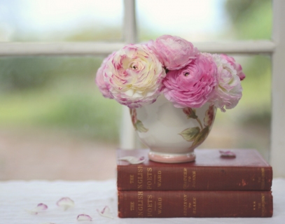 CB-2249-window_books_ranuncs