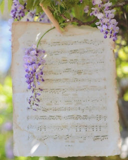 CB-2250-wisteria_music