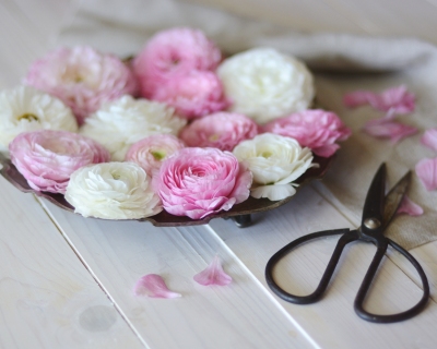 CB-2252-platter_flowers_scissors