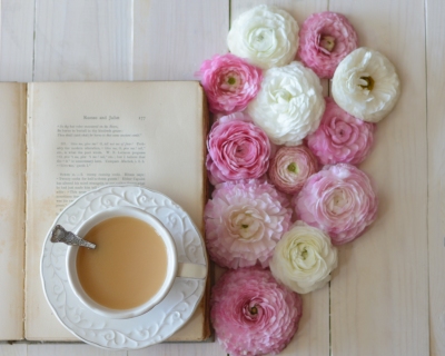 CB-2253-tea_ranuncs_book