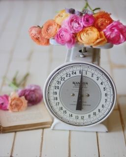 CB-2254-scale_flowers