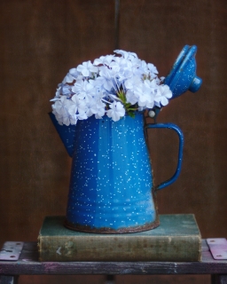 CB-2255-blueflowers_bluepot
