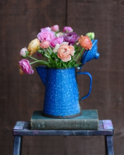 CB-2256-bluepot_flowers