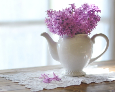 CB-2257-hyacinth_teapot_8x10