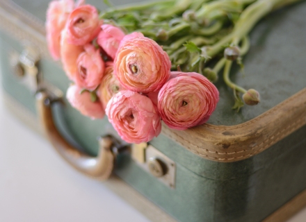 CB-2259-suitcase_flowers1