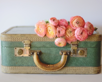 CB-2260-suitcase_flowers2