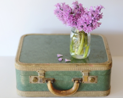 CB-2261-suitcase_hyacinth