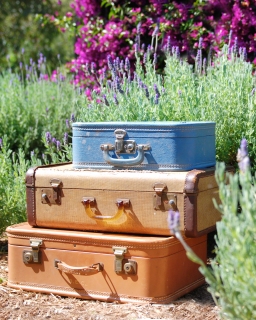 CB-2263-suitcases_lavender CB-2263-suitcases_lavender