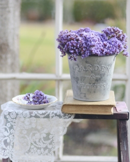 CB-2264-sea_lavender