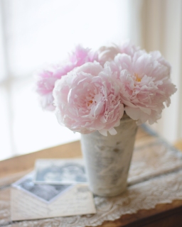CB-2267-peonies_8x10