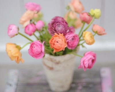 CB-2268-ranunculus_colorful