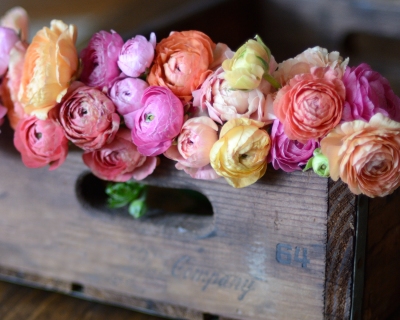 CB-2269-crate_flowers