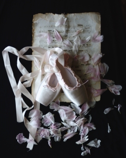 CB-2272-balletshoes_petals_8x10