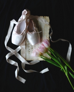 CB-2273-balletshoes_tulips_8x10