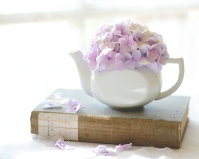 CB-2274-hydrangea_teapot_book_horizontal