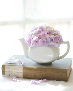 CB-2274a-hydrangea_teapot_book_vertical