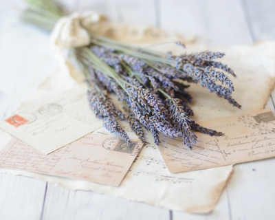 CB-2276-lavender_postcards