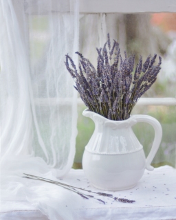 CB-2277-lavender_white-jug_8x10