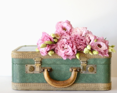 CB-2282-suitcase-flowers