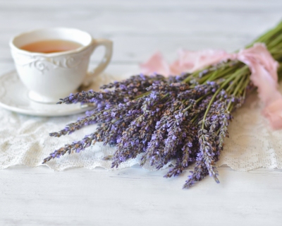 CB-2288-lavender-teacup