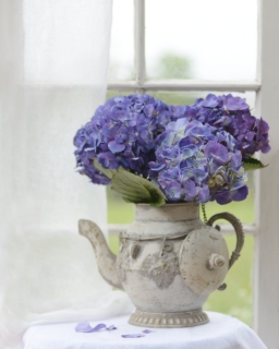 CB-2291_hydrangea_window