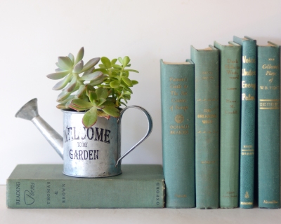 CB-2292_succulents_books