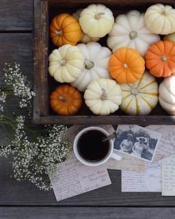 CB-2294_pumpkins_coffee