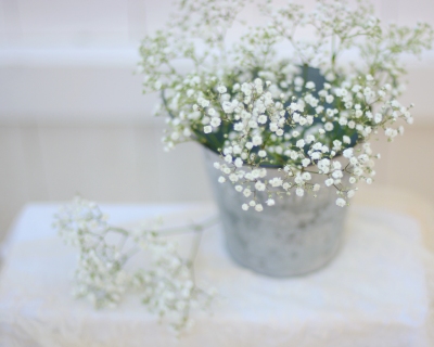 CB-2297_babysbreath_bucket