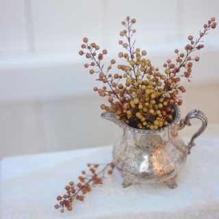 CB-2299_berries_silver_pitcher