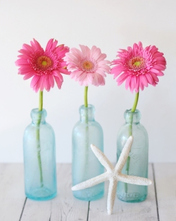 CB-2301_bottles_daisies_starfish