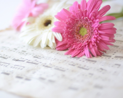 CB-2302_daisies_musicsheet