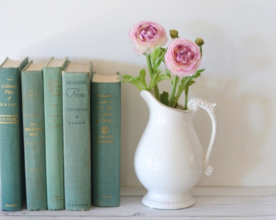 CB-2303_greenbooks_ranuncs