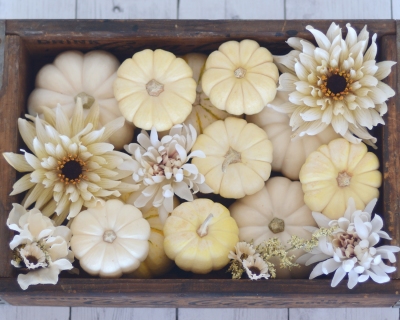 CB-2310_fall_whitepumpkins_crate