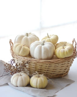 CB-2311_pumpkins_basket