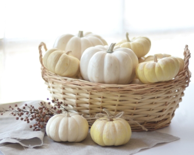 CB-2312_pumpkins_basket2