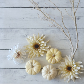 CB-2313_pumpkins_flowers_lookingdown