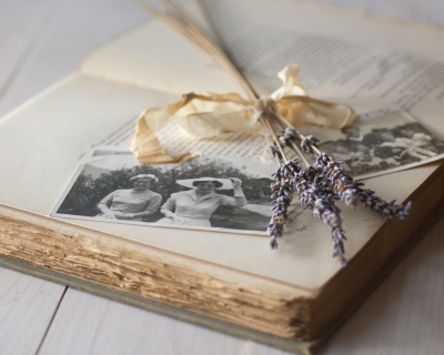 CB-2315_lavender_book