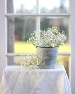 CB-2316_babysbreath_window