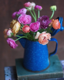 CB-2317_bluepot_flowers-Edit