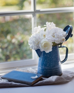 CB-2318_bluepot_whiteroses