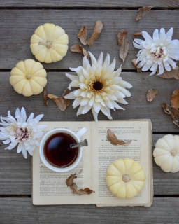CB-2320_book_flowers_pumpkins