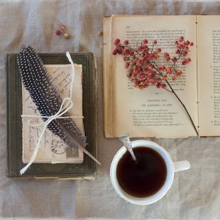 CB-2321_books_feathers