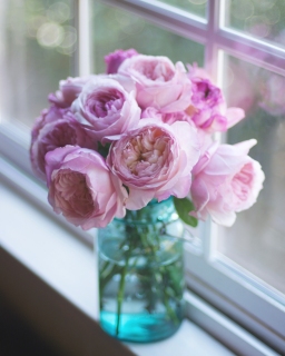 CB-2325_davidaustenroses