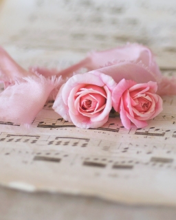 CB-2330_pinkrosebuds_music