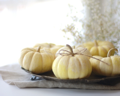CB-2333_whitepumpkins