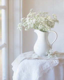 CB-2338_white-on-white